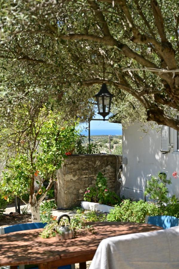 Maison d'hôtes To Spiti Tou Papa Sto Vouno à Kamilárion Extérieur photo