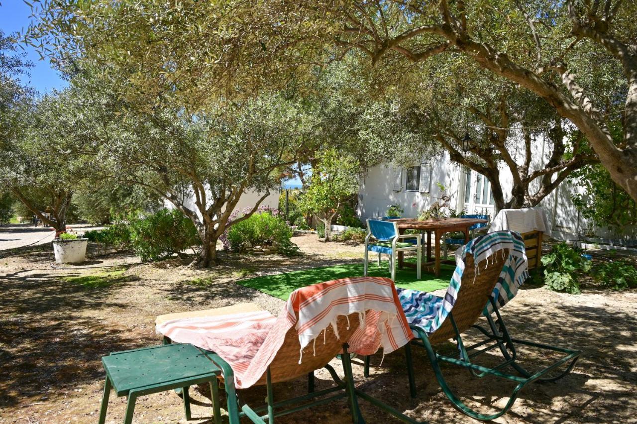 Maison d'hôtes To Spiti Tou Papa Sto Vouno à Kamilárion Extérieur photo
